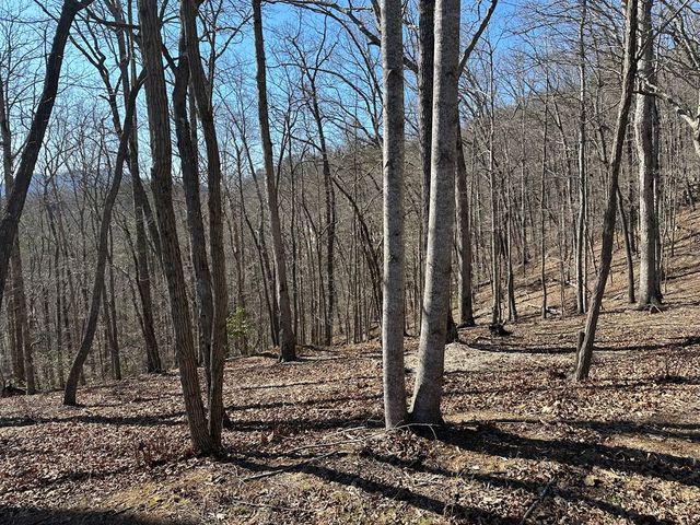 Lot 55 Asheland Cove, Young Harris, GA 30582