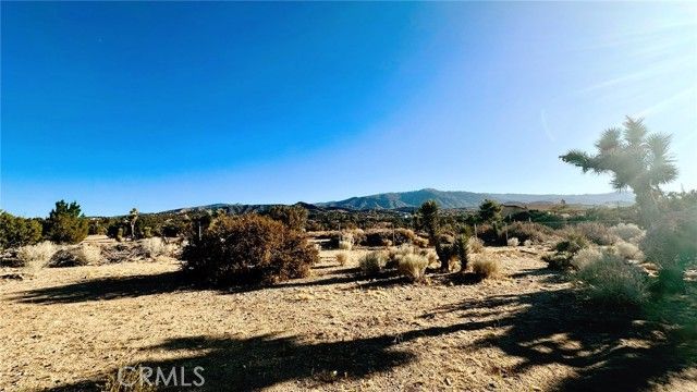 2033 Hollister Road, Pinon Hills, CA 92372