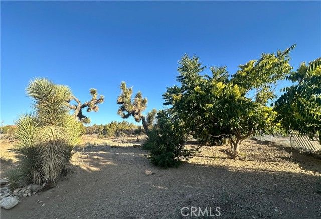 2033 Hollister Road, Pinon Hills, CA 92372