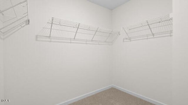 2321 Pine Cone Court, Apex, NC 27539