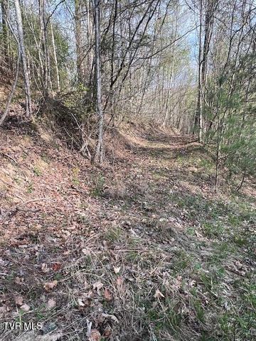 Tbd Spivey Mountain Road Road, Erwin, TN 37650