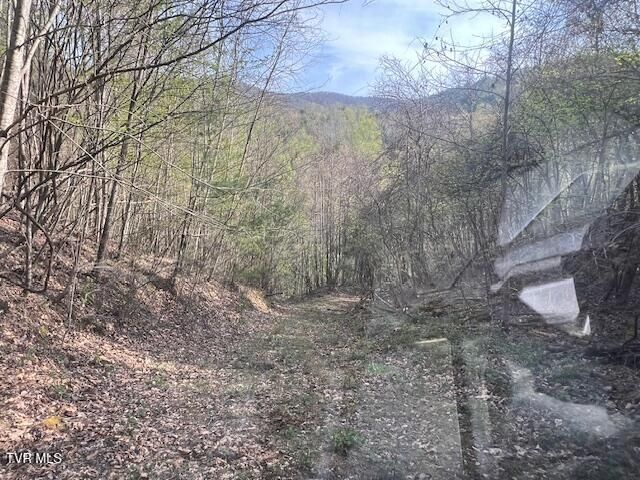 Tbd Spivey Mountain Road Road, Erwin, TN 37650