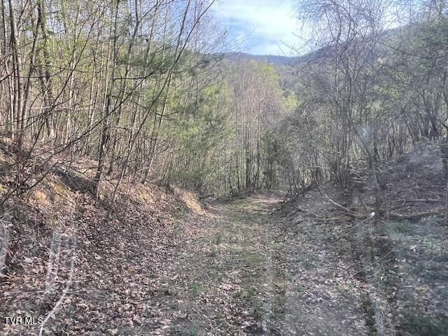 Tbd Spivey Mountain Road Road, Erwin, TN 37650