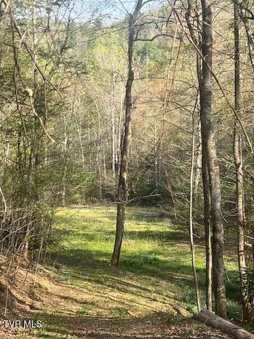 Tbd Spivey Mountain Road Road, Erwin, TN 37650