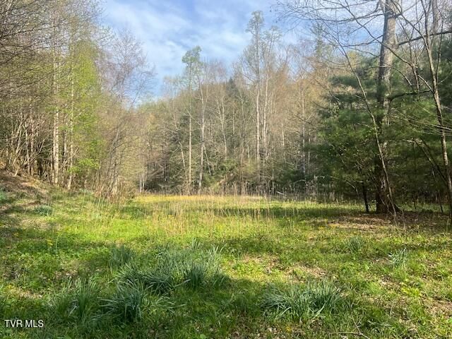 Tbd Spivey Mountain Road Road, Erwin, TN 37650