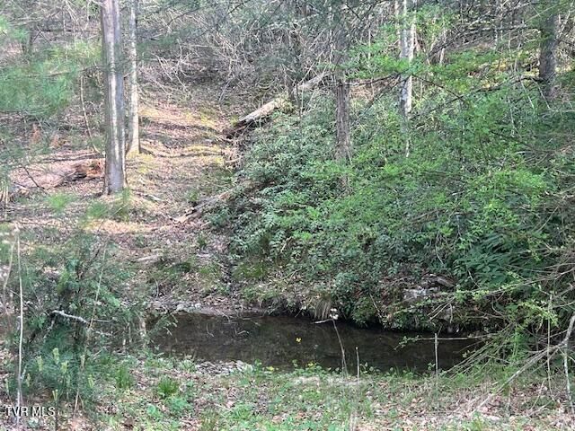 Tbd Spivey Mountain Road Road, Erwin, TN 37650