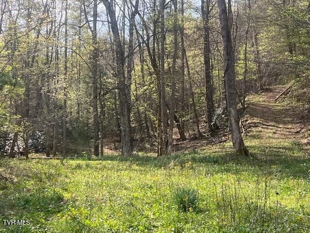 Tbd Spivey Mountain Road Road, Erwin, TN 37650