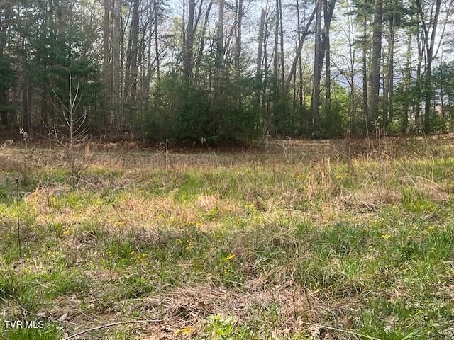 Tbd Spivey Mountain Road Road, Erwin, TN 37650