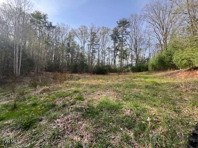 Tbd Spivey Mountain Road Road, Erwin, TN 37650
