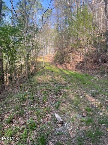 Tbd Spivey Mountain Road Road, Erwin, TN 37650