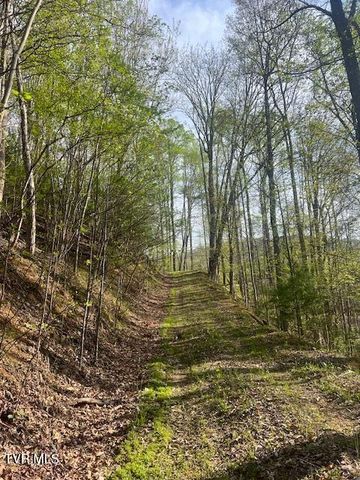 Tbd Spivey Mountain Road Road, Erwin, TN 37650