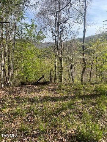 Tbd Spivey Mountain Road Road, Erwin, TN 37650
