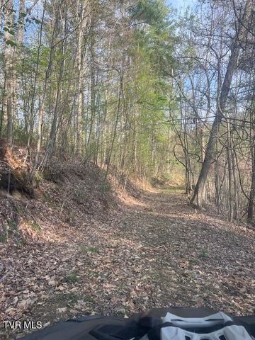 Tbd Spivey Mountain Road Road, Erwin, TN 37650