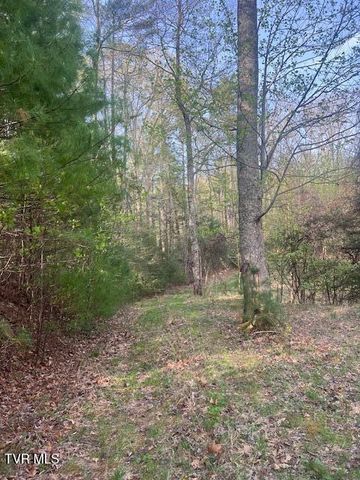 Tbd Spivey Mountain Road Road, Erwin, TN 37650