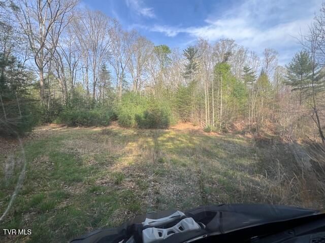 Tbd Spivey Mountain Road Road, Erwin, TN 37650