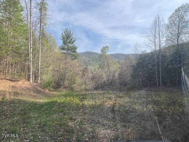 Tbd Spivey Mountain Road Road, Erwin, TN 37650