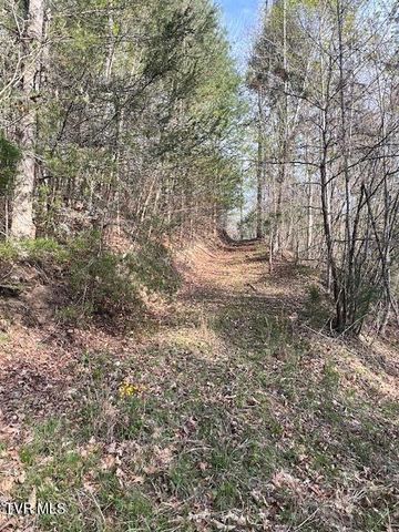 Tbd Spivey Mountain Road Road, Erwin, TN 37650
