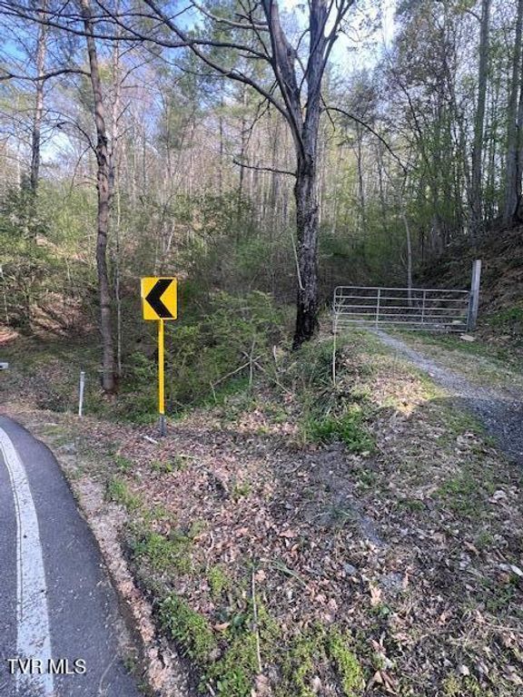 Tbd Spivey Mountain Road Road, Erwin, TN 37650