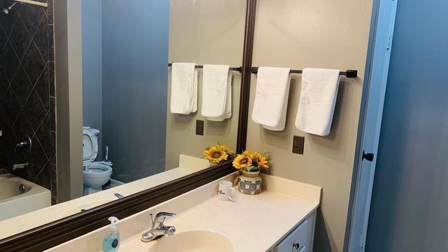 3100 Walnut Bend Lane 309, Houston, TX 77042