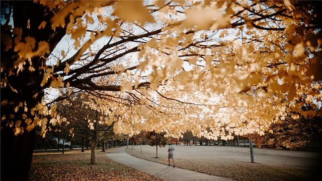 53 Clay NE Street, Atlanta, GA 30317