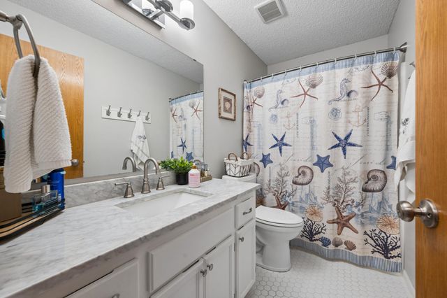 191 South Shore Court, Chanhassen, MN 55317