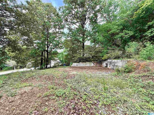 1046 INDEPENDENCE COURT, Alabaster, AL 35007