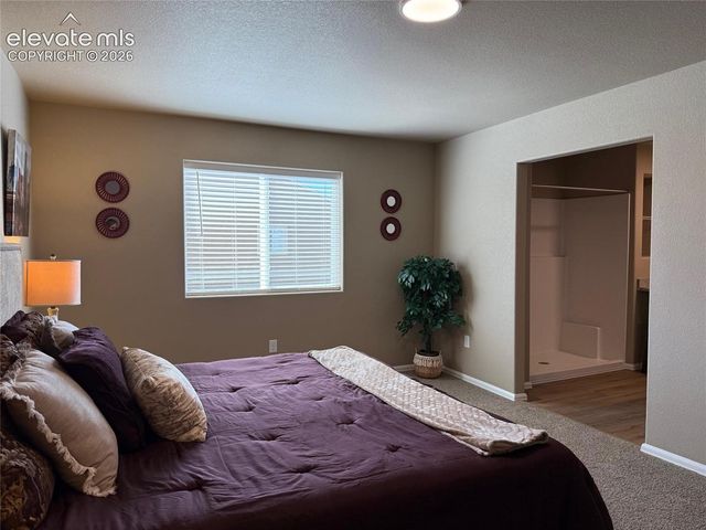 1681 Sandtoft Heights, Colorado Springs, CO 80951