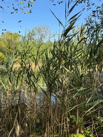 3152 Heavilin Road, Valparaiso, IN 46385