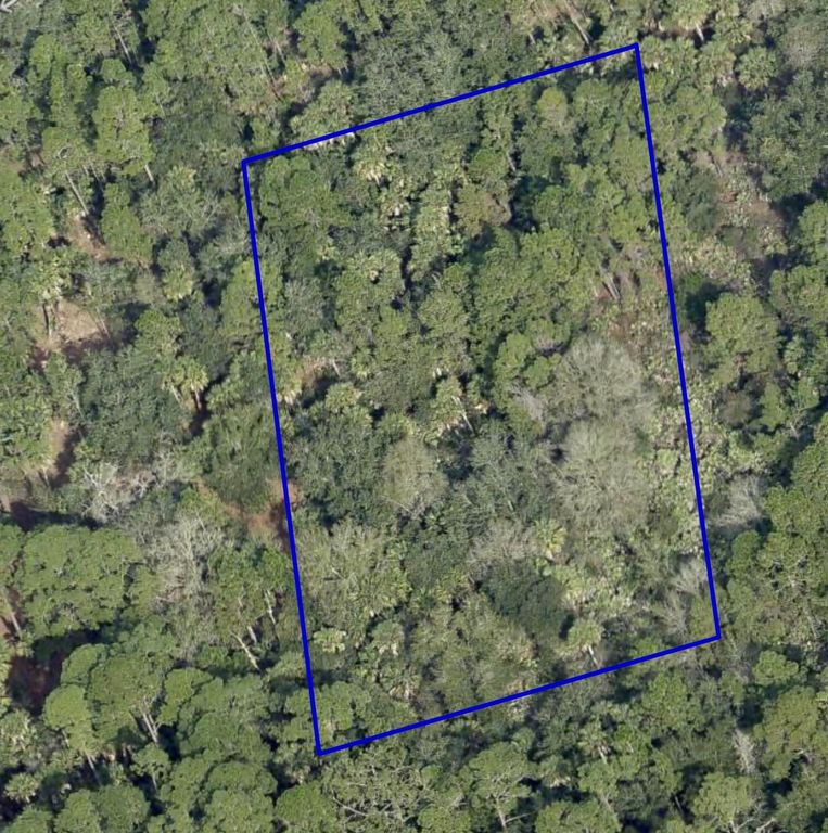 0 Mario Avenue, Cocoa, FL 32926