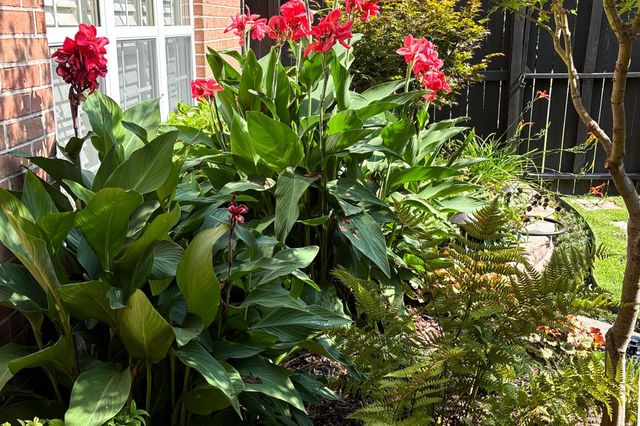 438 MCELROY RD, Memphis, TN 38120