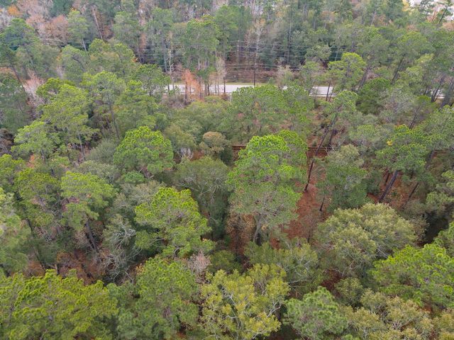 0 Foster Drive, Conroe, TX 77301