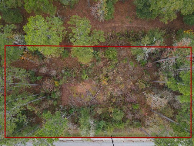 0 Foster Drive, Conroe, TX 77301