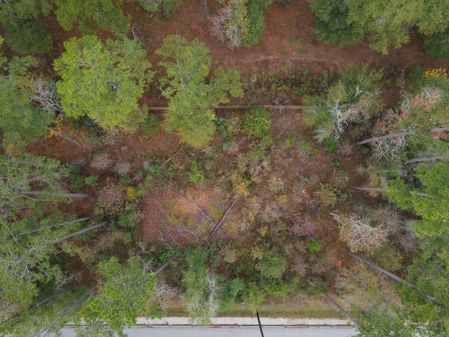 0 Foster Drive, Conroe, TX 77301