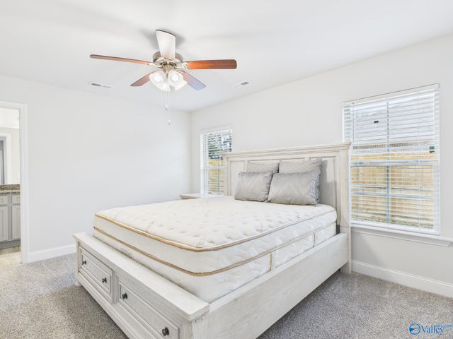 15251 Lapwing Cove, Athens, AL 35611