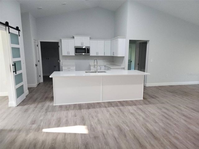1111 DAGMAR AVENUE, Spring Hill, FL 34606