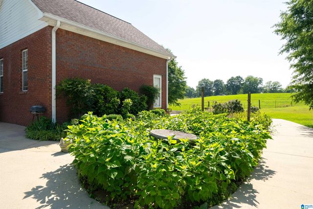 50316 US HWY 231, Oneonta, AL 35121