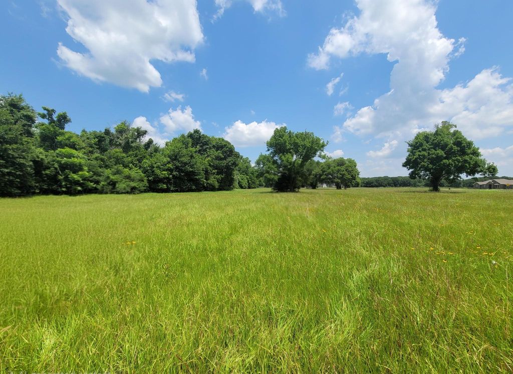 515 Cross Timbers Drive, Rosharon, TX 77583