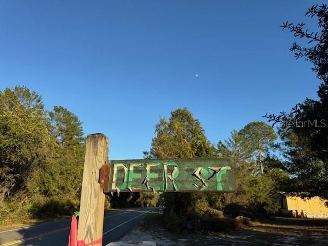 45848 DEER STREET, Paisley, FL 32767