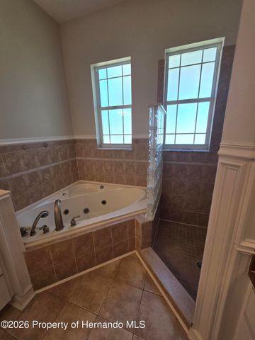 13086 Sigmund Street, Spring Hill, FL 34609