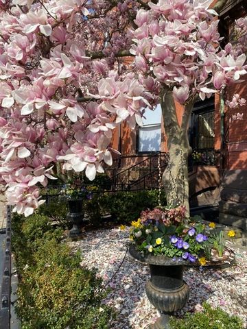 205 Commonwealth Avenue 6, Boston, MA 02116