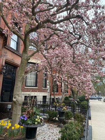 205 Commonwealth Avenue 6, Boston, MA 02116