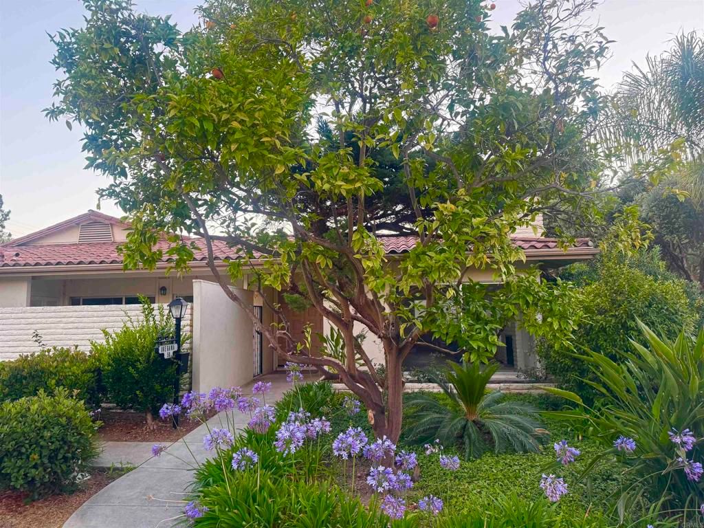 7019 Estrella De Mar Road, Carlsbad, CA 92009