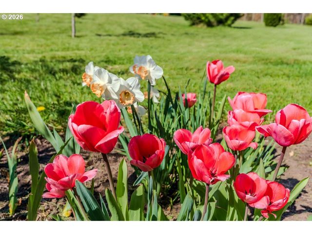 32728 Ne CHAMBERLAIN Rd, Corbett, OR 97019