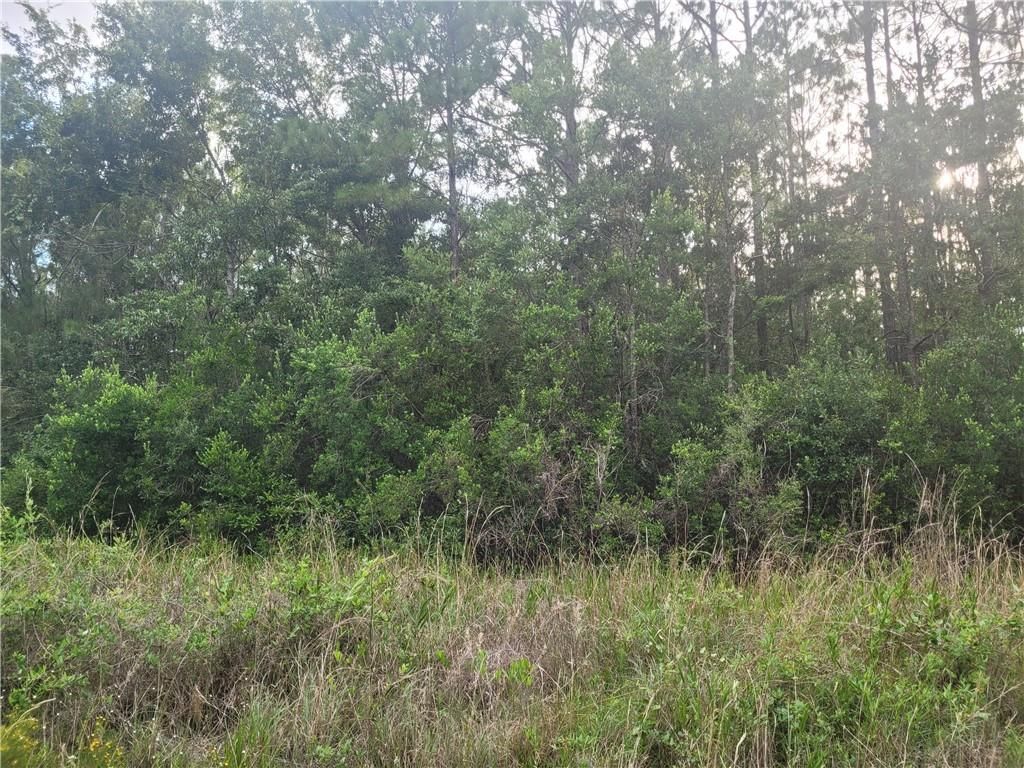 0 Bellingrath Road, Theodore, AL 36582 — photo 2