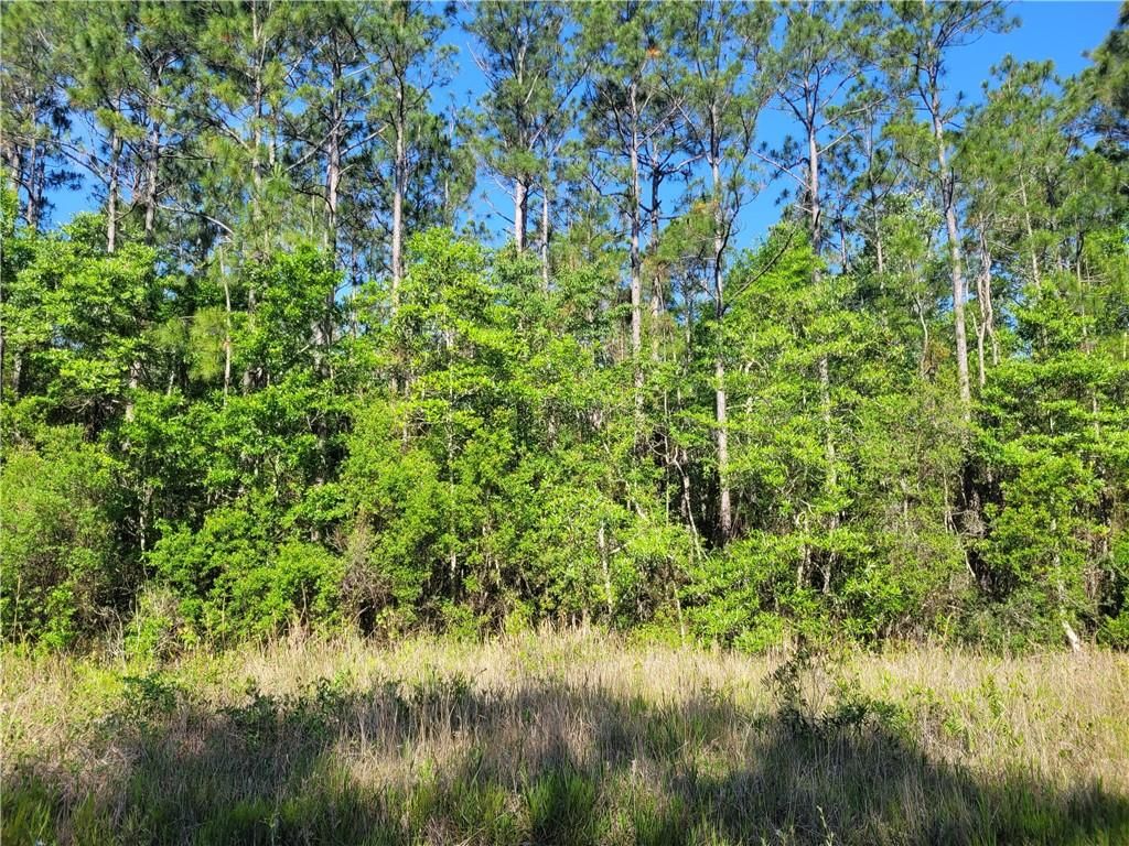 0 Bellingrath Road, Theodore, AL 36582 — photo 5