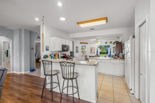 10545 COLLAR DRIVE, San Antonio, FL 33576