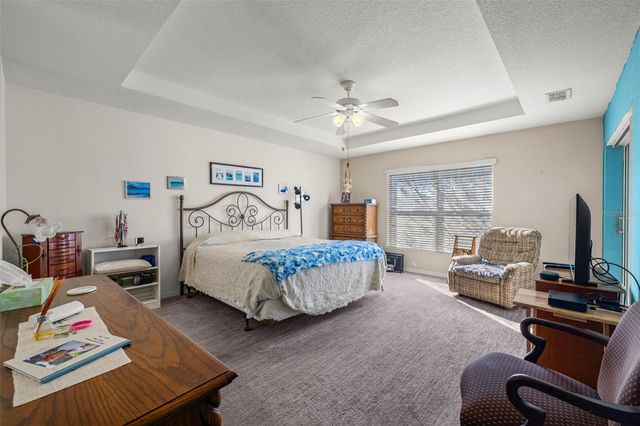 10545 COLLAR DRIVE, San Antonio, FL 33576