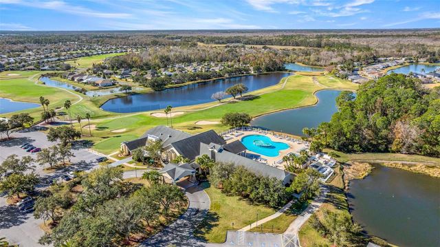 10545 COLLAR DRIVE, San Antonio, FL 33576