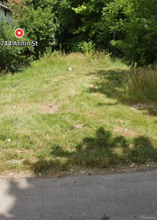 744 Annin Street, Highland Park, MI 48203