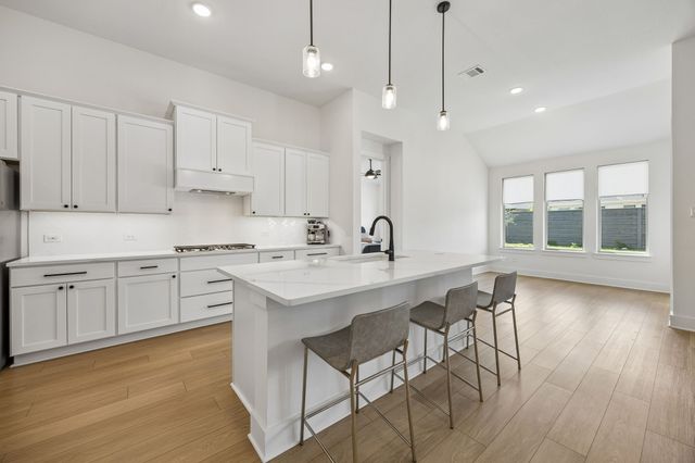 7113 Indian Paint Brush Lane, Little Elm, TX 76227